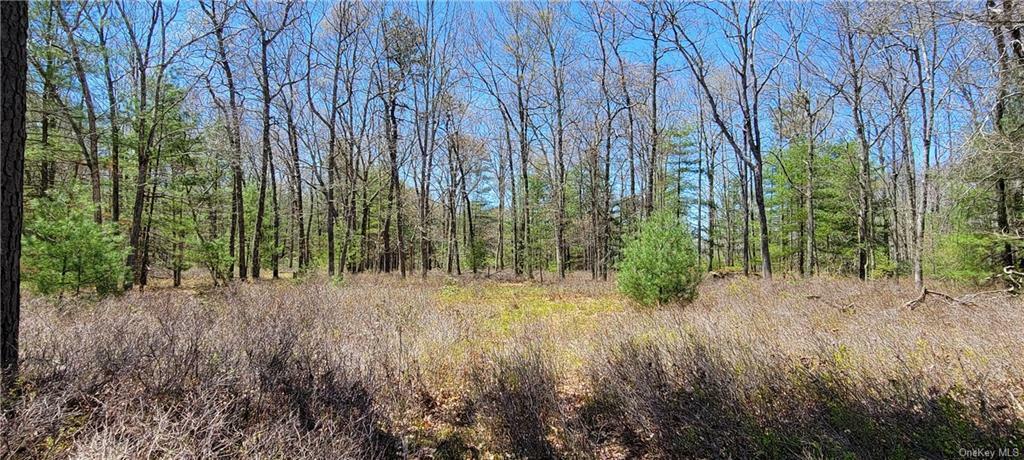 Property Photo:  Lot 3 Crystal Lake Road  NY 12720 