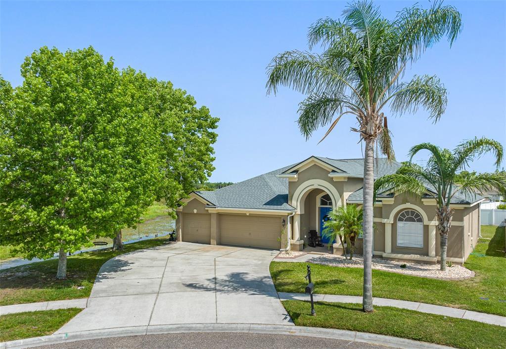1934 Pink Guara Court  Trinity FL 34655 photo