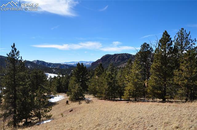 Property Photo:  210 Wilson Way  CO 80813 