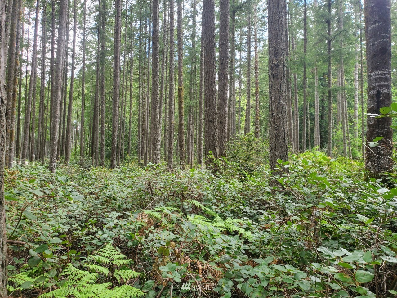 Property Photo:  0 Lot A Rosewood Lane NW  WA 98383 