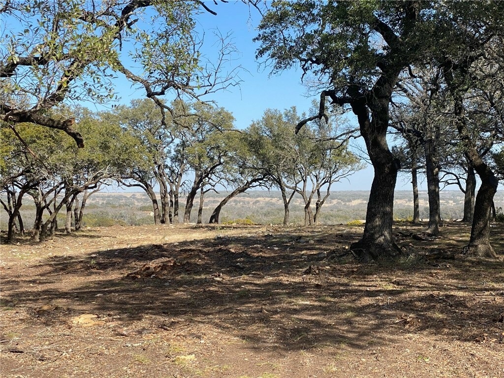 Property Photo:  Lot 41 Private Road 4219  TX 76525 