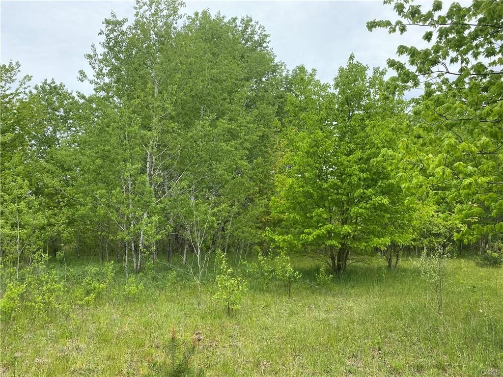 Property Photo: 0 Baldwin Road NY 13069