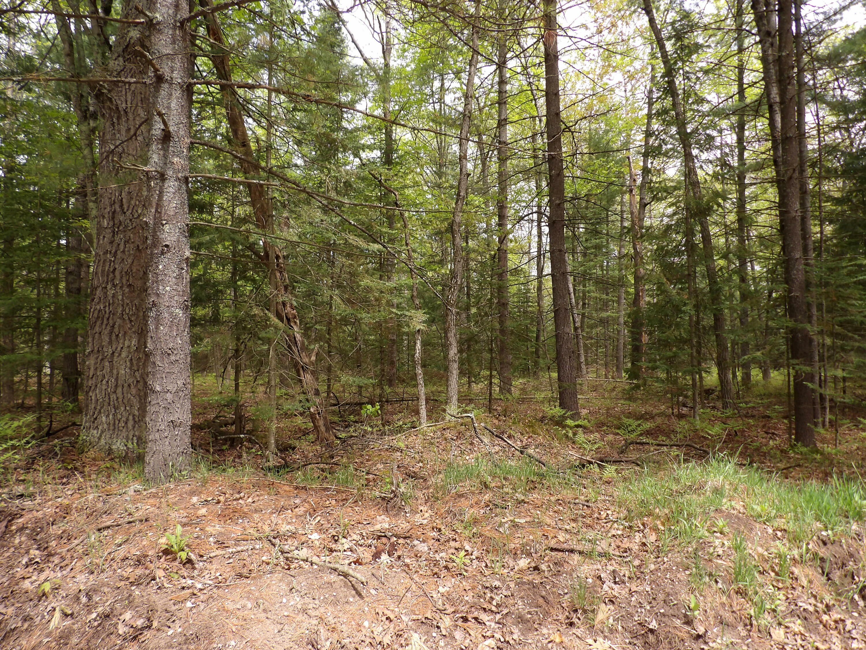 Property Photo:  Lot 10 Club Road  MI 48656 