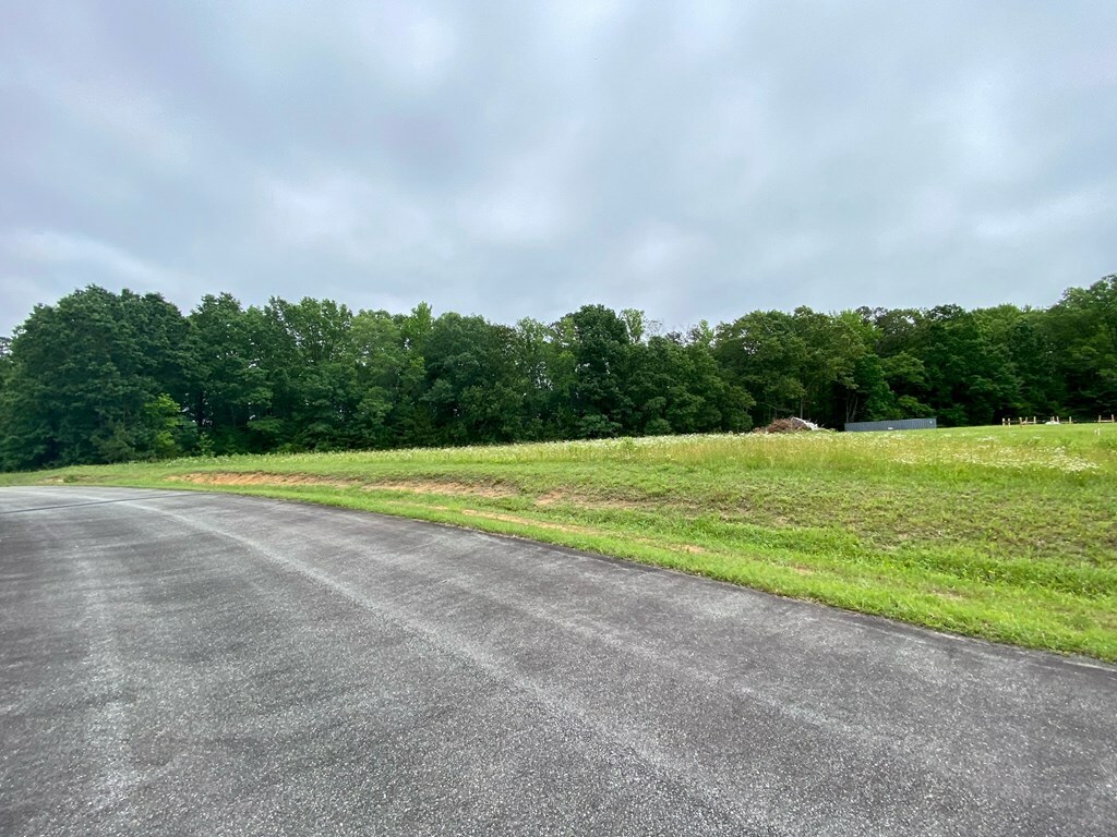 Property Photo:  Lot 6 Fern Ridge  VA 23927 