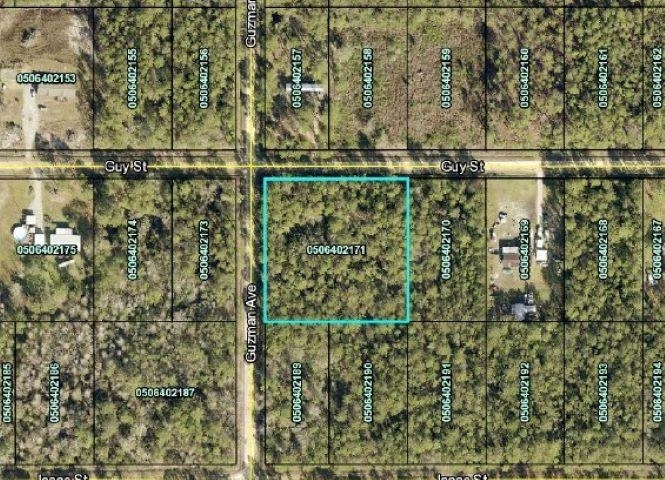 4275 Guy St  Hastings FL 32145 photo