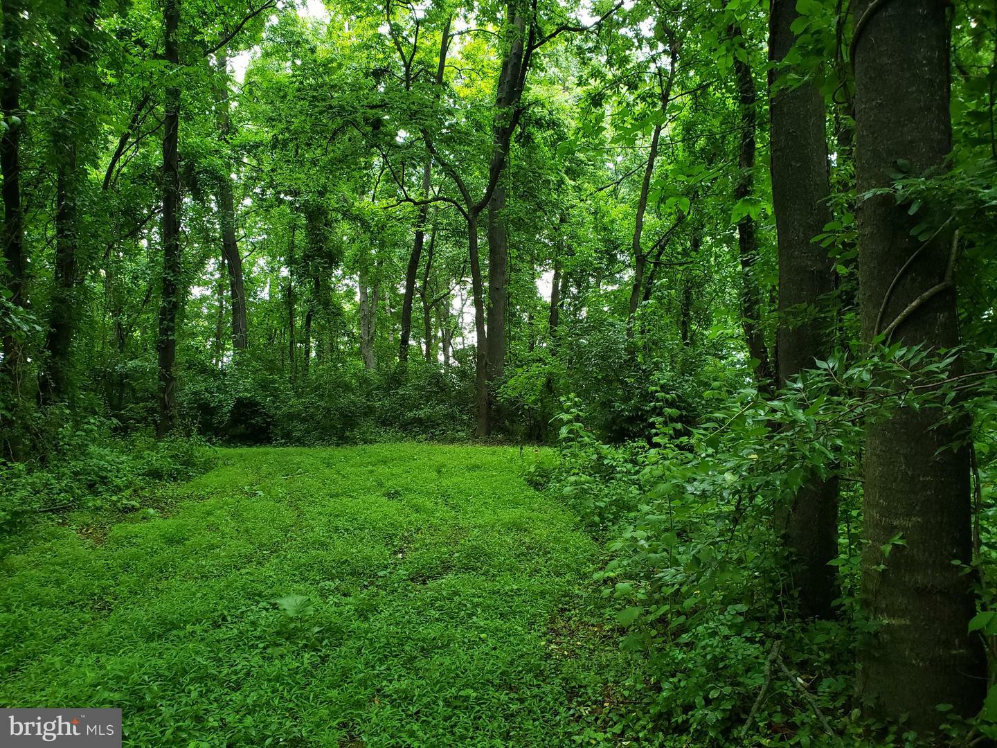 Property Photo:  Carters Line Rd  VA 22663 