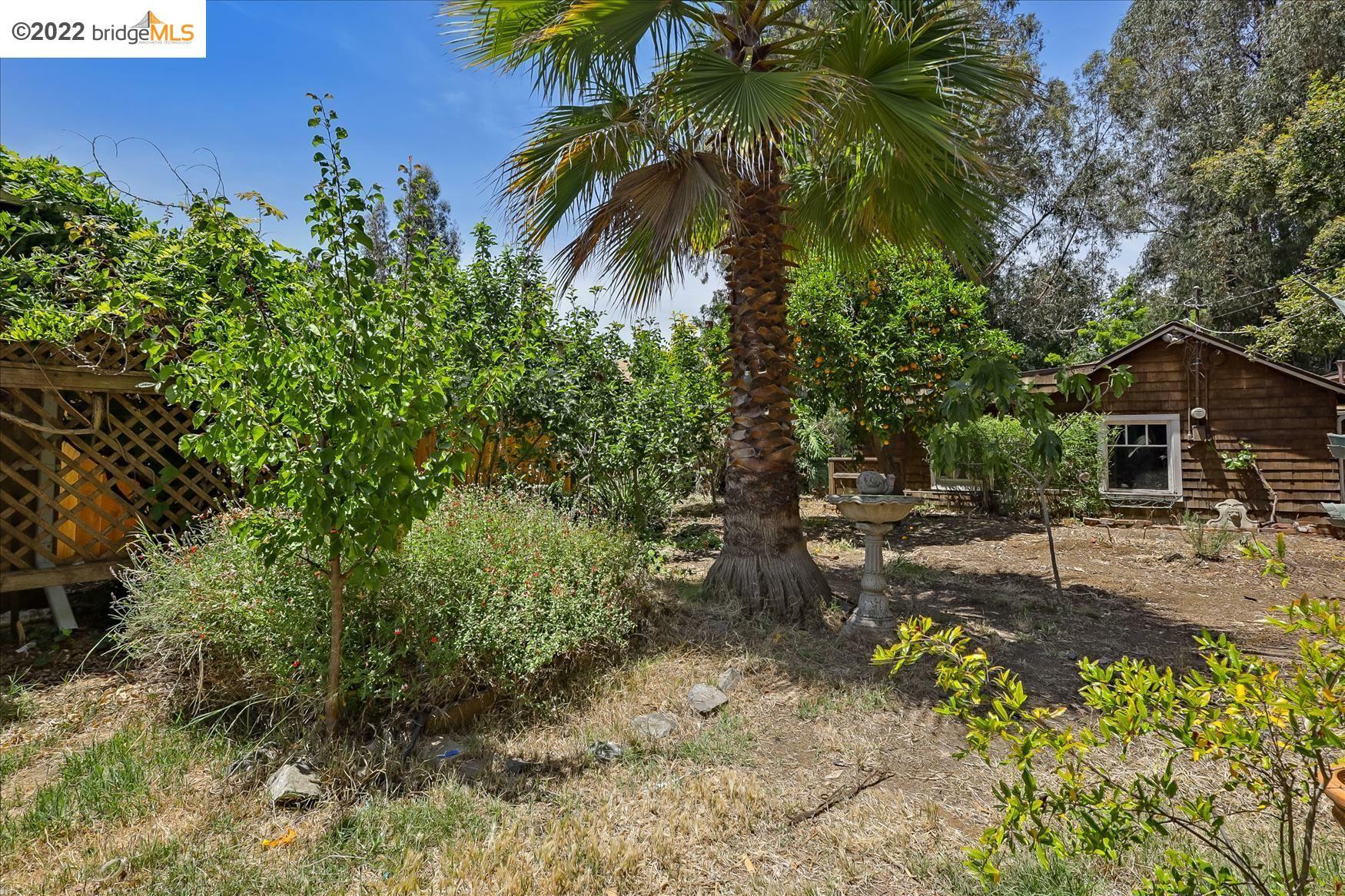 Property Photo:  3129 Courtland Ave  CA 94619 