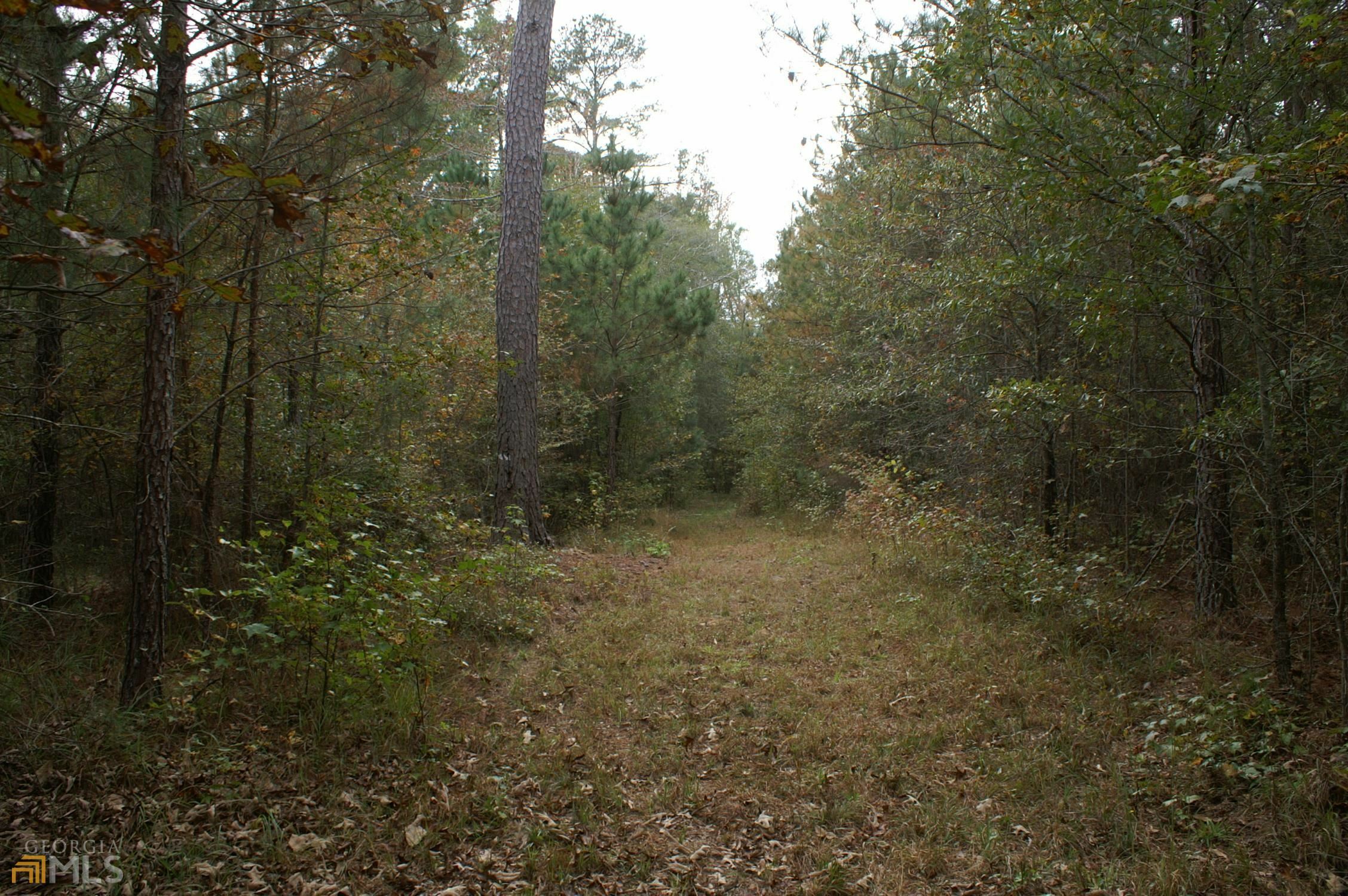 Property Photo: 7031 Springfield Road GA 31087