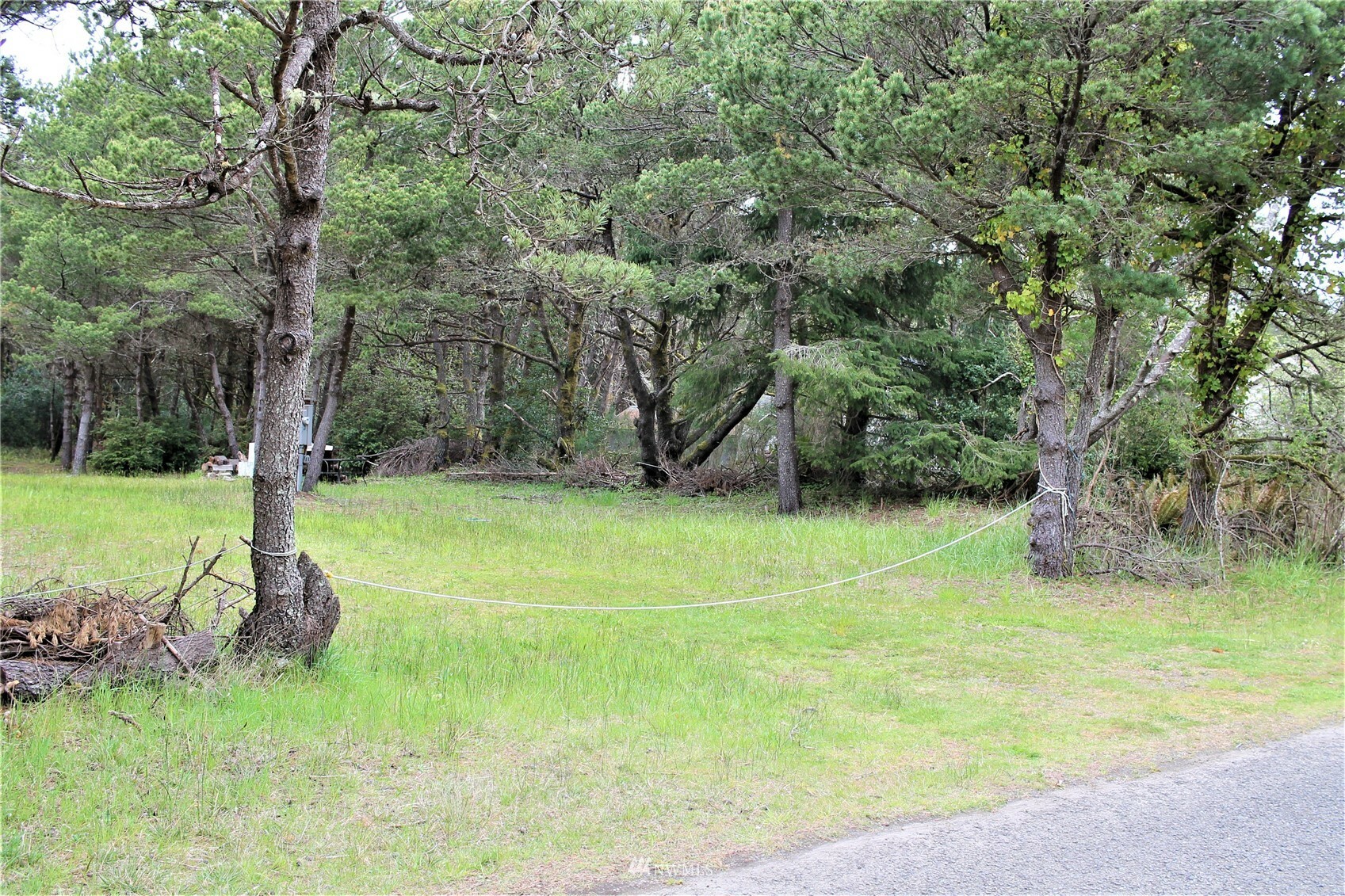 Property Photo:  1613 S Aberdeen Street  WA 98595 