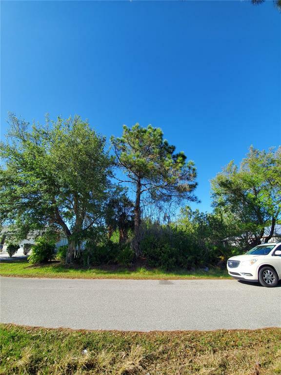 Property Photo:  23097 Brewer Avenue  FL 33980 