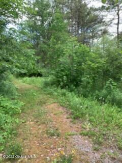 Property Photo:  139 County Route 9A  NY 12887 
