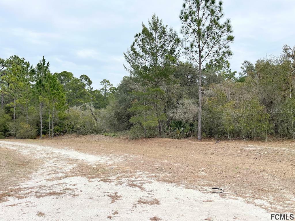 Property Photo:  117 Moon Lake Drive  FL 32112 