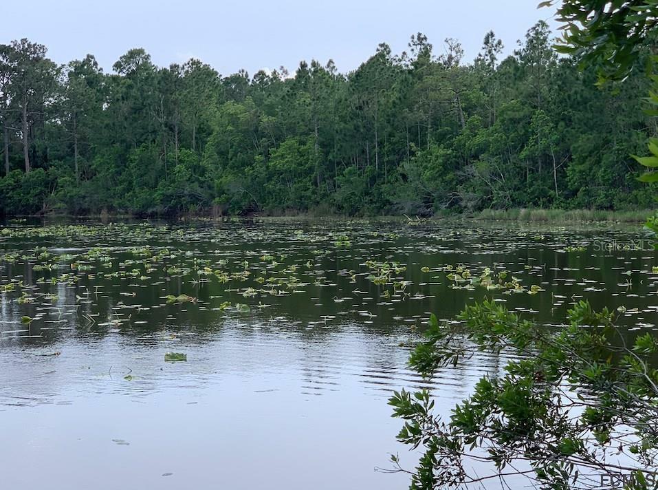 Property Photo: 17 Freneau Lane FL 32137