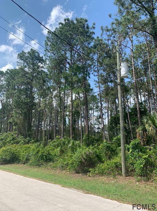 Property Photo: 39 Richmond Drive FL 32164