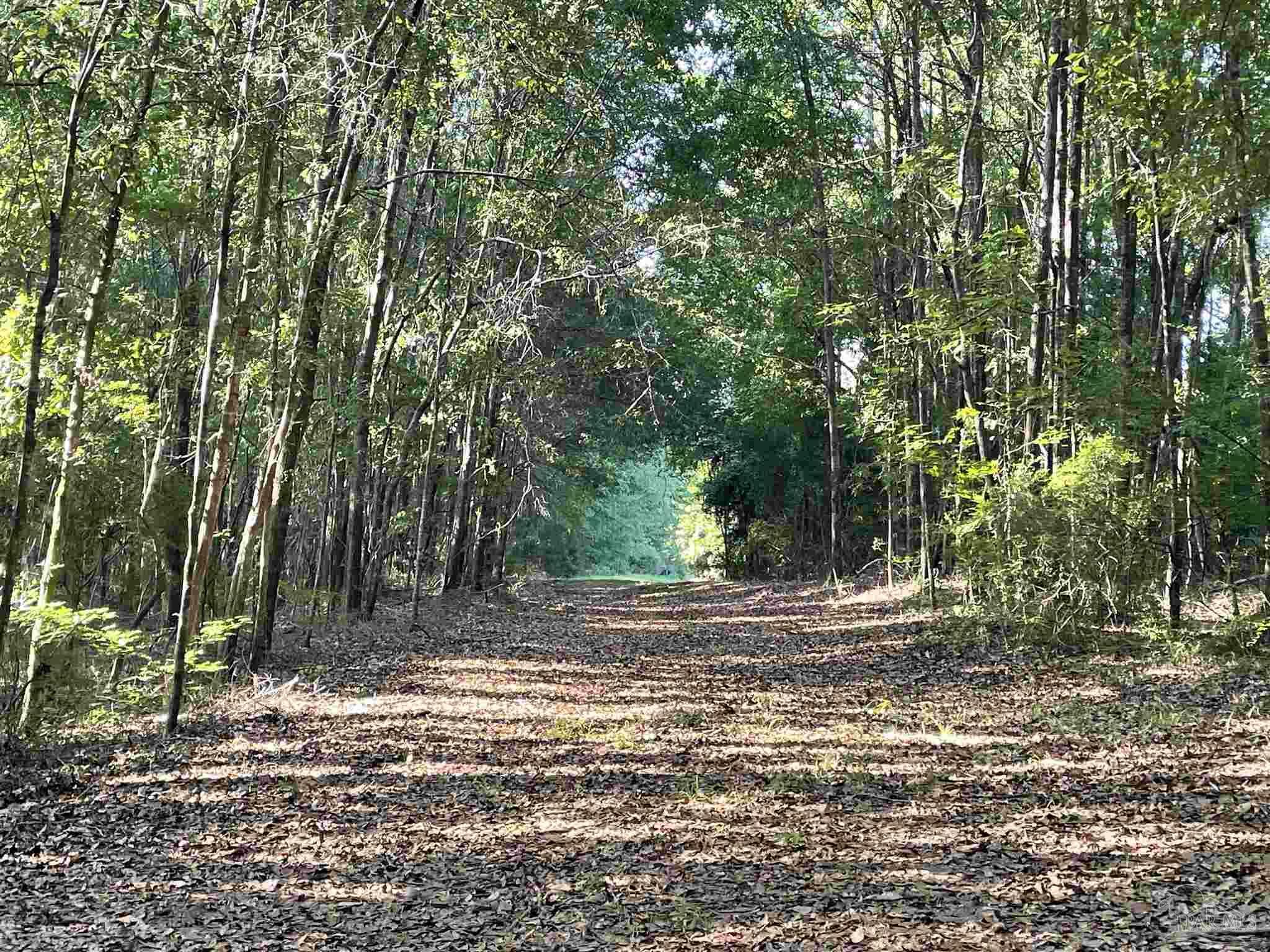 Property Photo: 0 Mart Jernigan Rd FL 32565