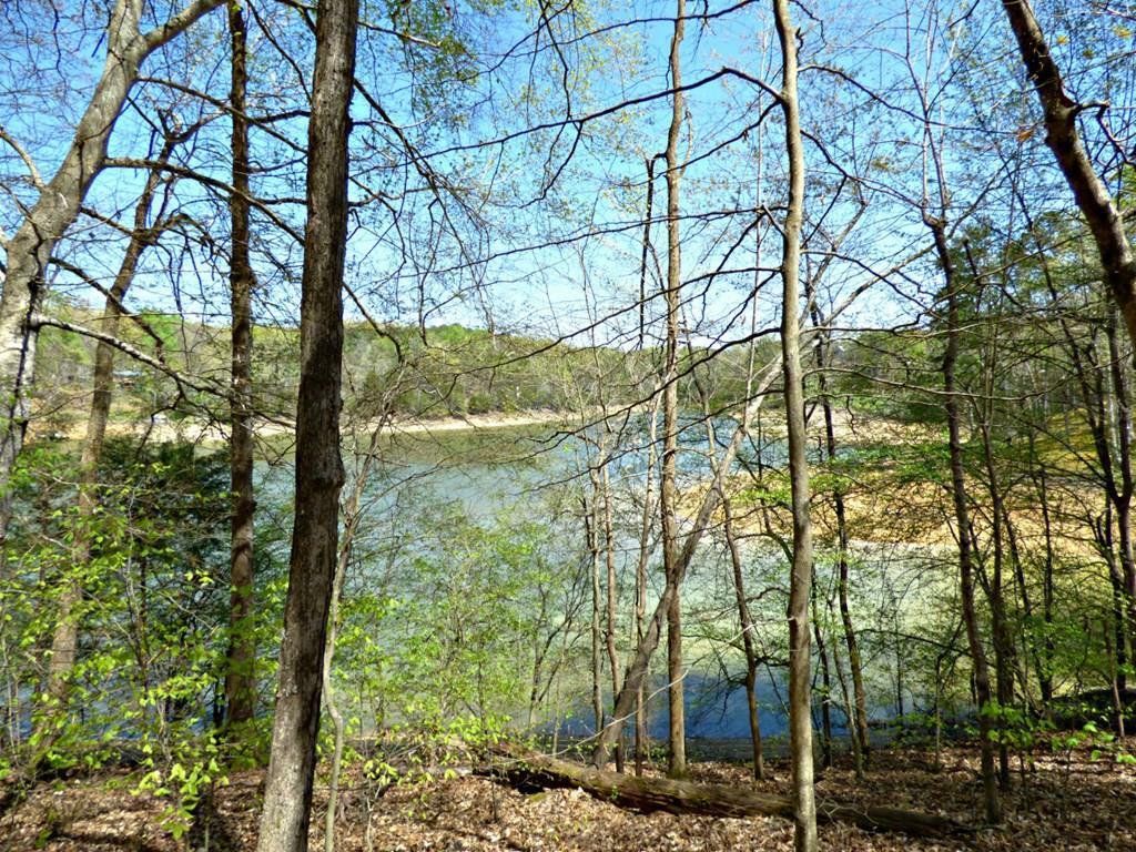 Lot 9 Clark Lane  Dandridge TN 37725 photo