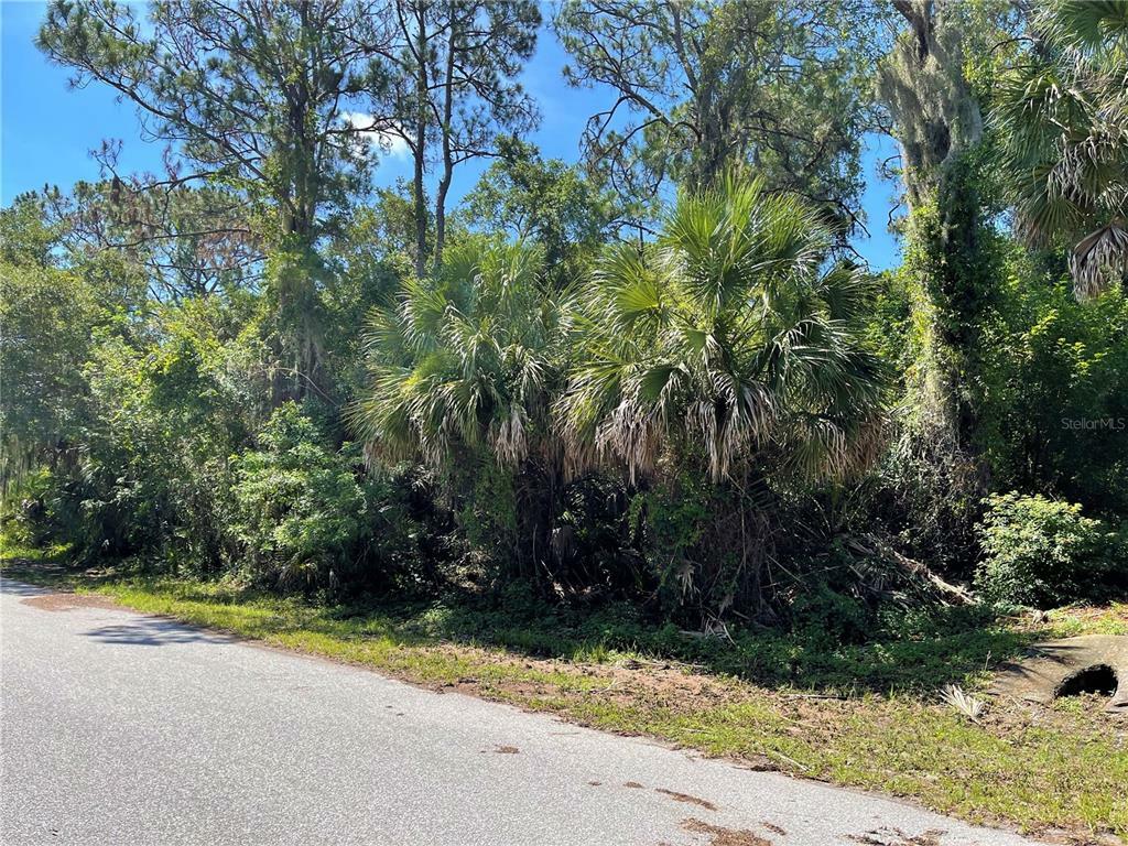 Property Photo:  17211 Bonnie Avenue  FL 33954 