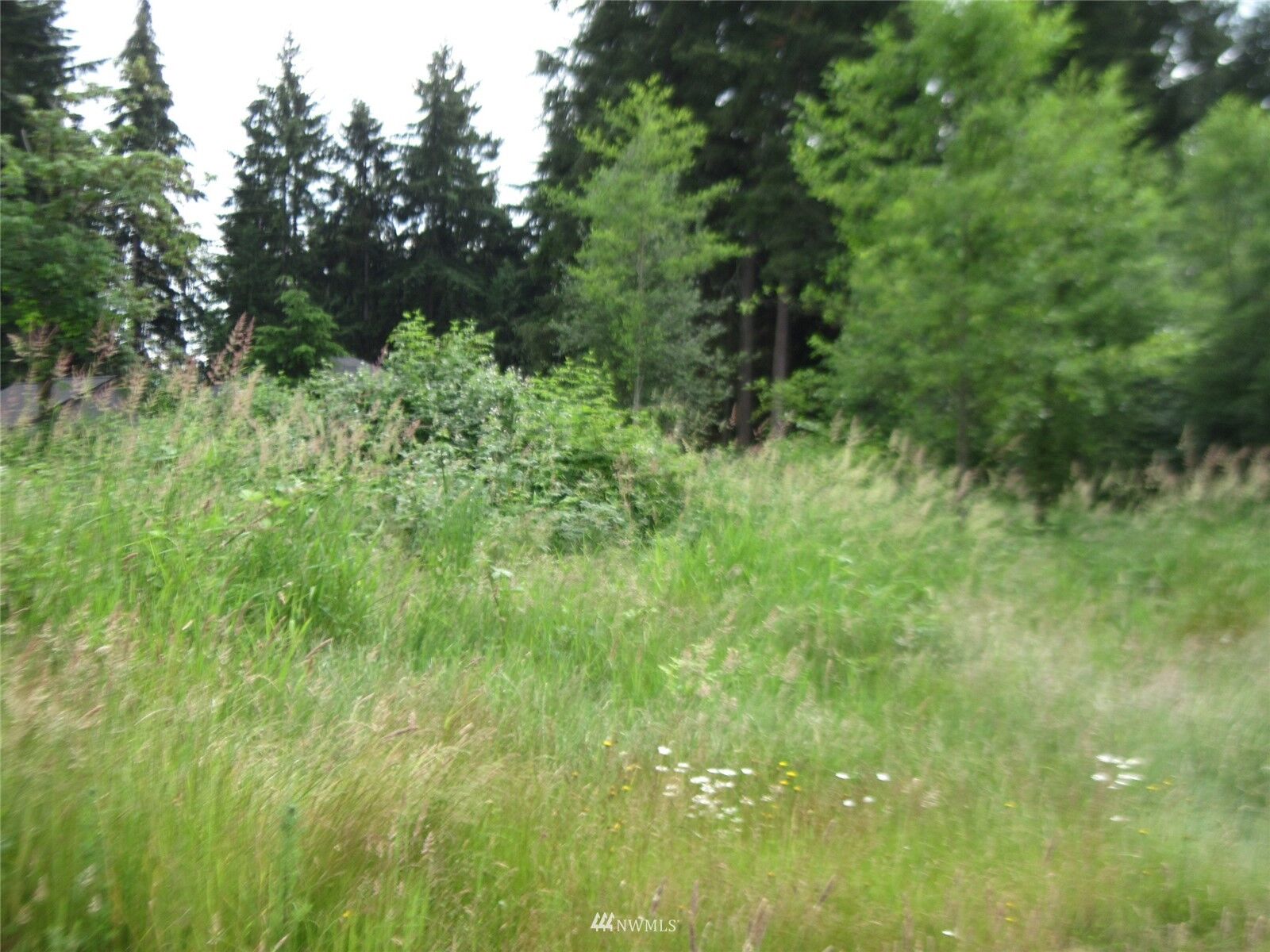 Property Photo: 9905 251st Street E WA 98338