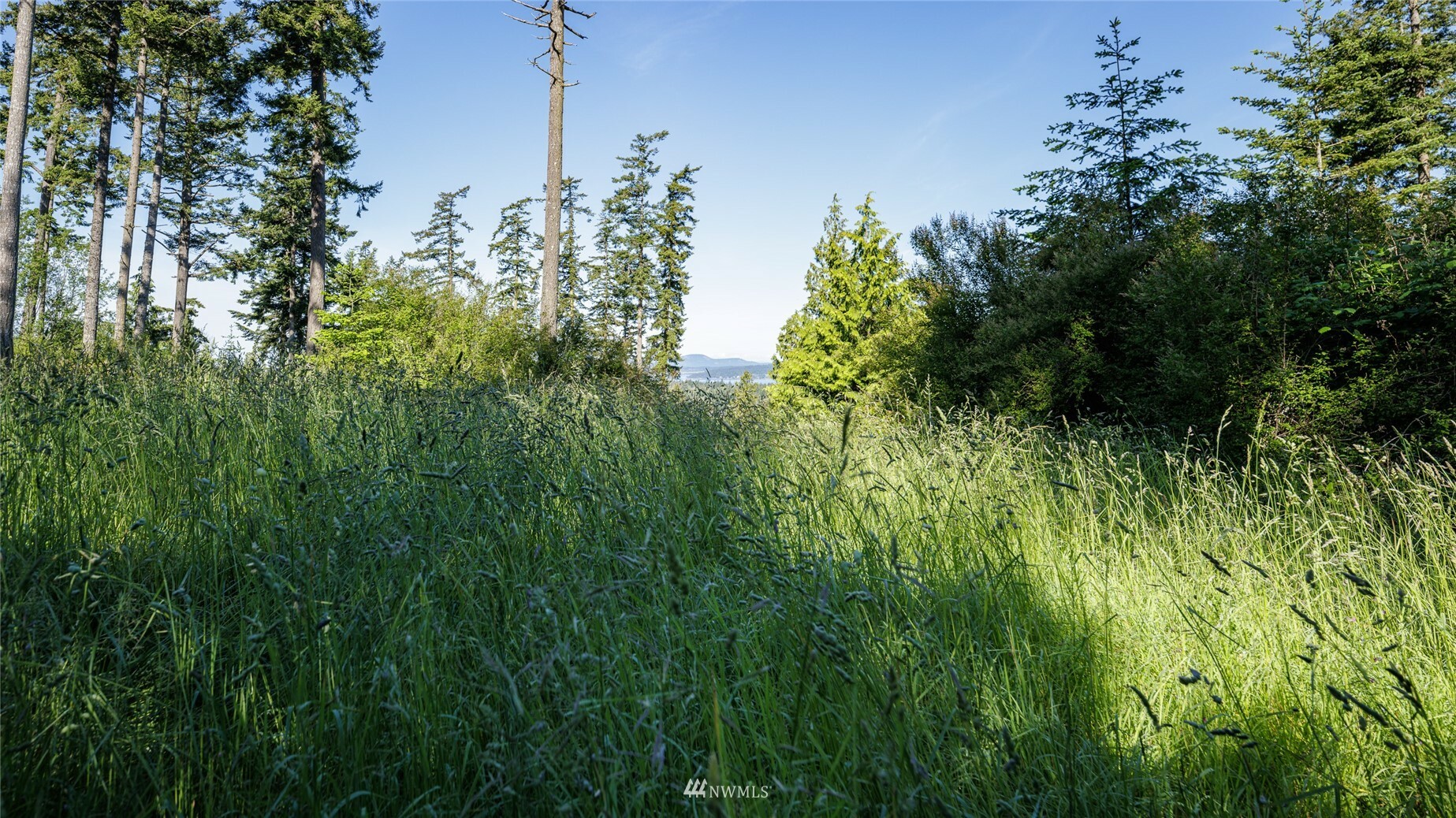 Property Photo:  15 Mariner Drive  WA 98261 