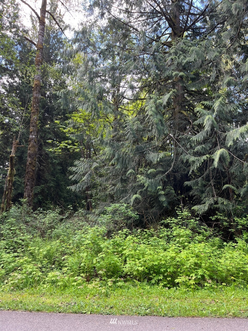 Property Photo: 13420 74th Street NE WA 98258