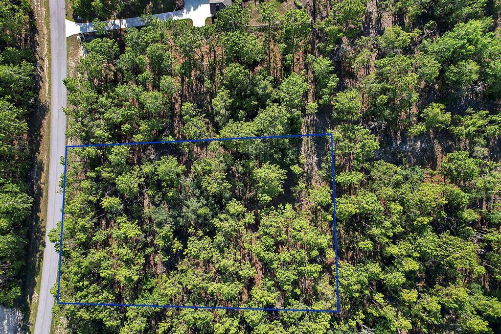 Property Photo:  Lot 4 County Road 243 C  FL 34785 