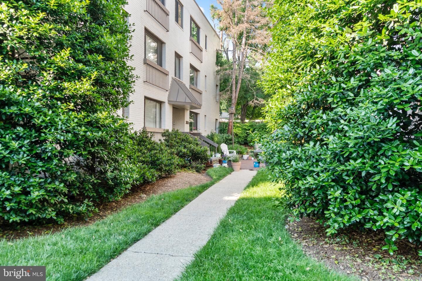 Property Photo: 2604 Tunlaw Road NW 6 DC 20007