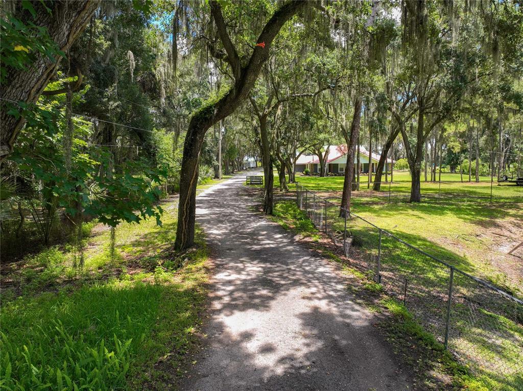 Property Photo: 7816 Turkey Creek Road FL 33567