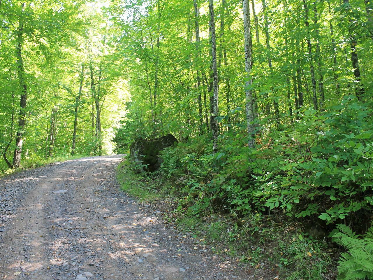 Property Photo:  Lot 25 Alpine Shores Dr  WI 54565 