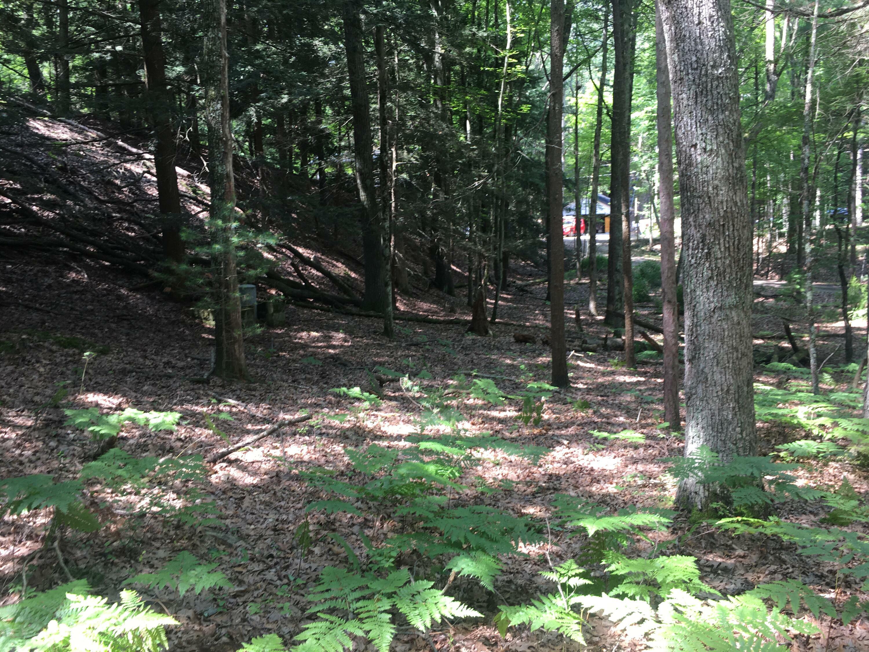 Property Photo:  Lot 1 &Amp 16 N Perry  MI 49449 