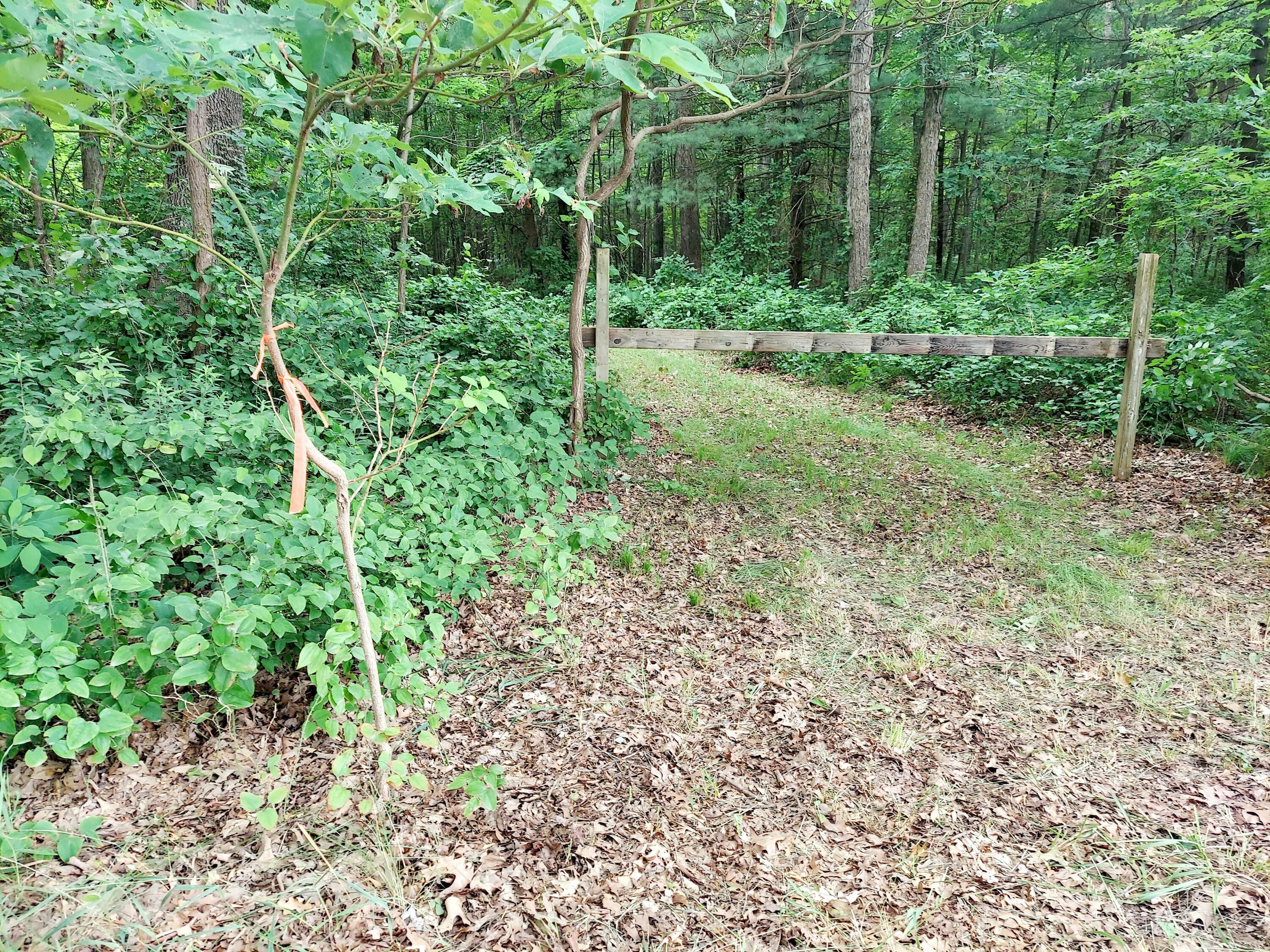 Property Photo: V/L 53rd St 9.7 Acres MI 49450