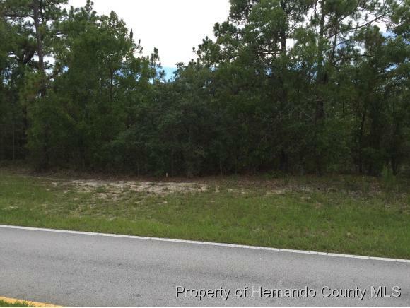 Property Photo: 131 Cypress Boulevard E FL 34446