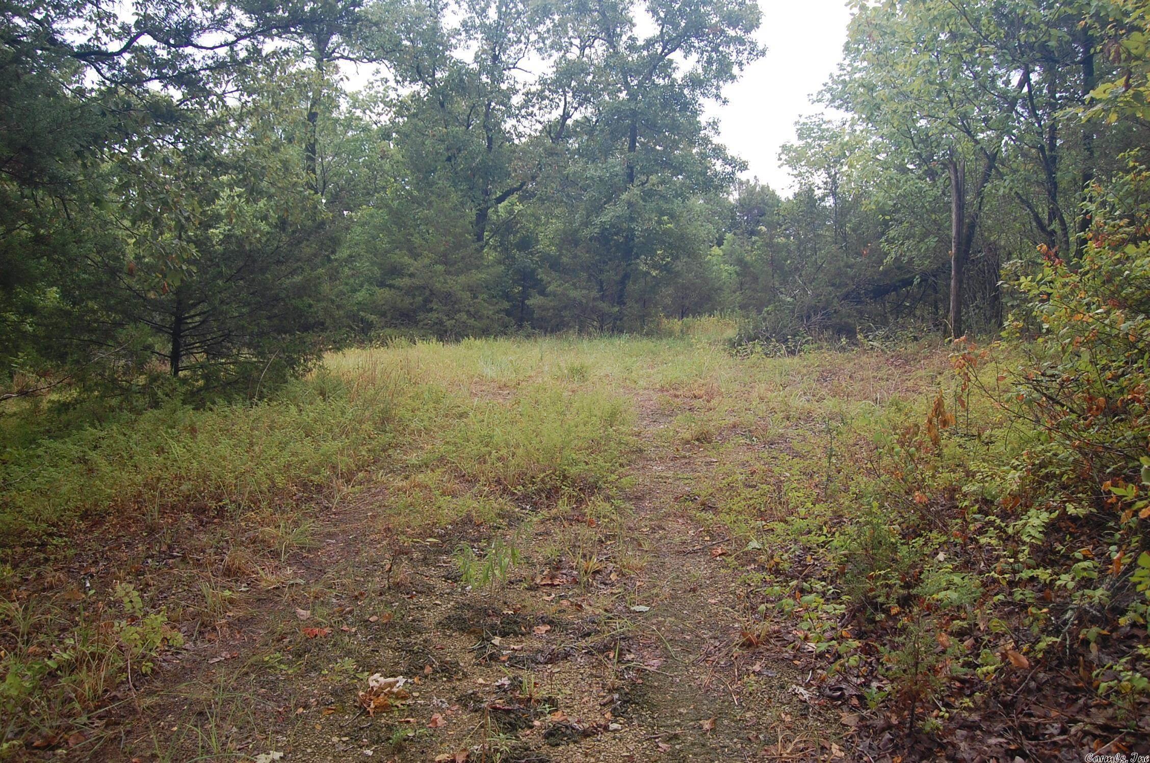 Property Photo: 000 Mossy Oak AR 72653