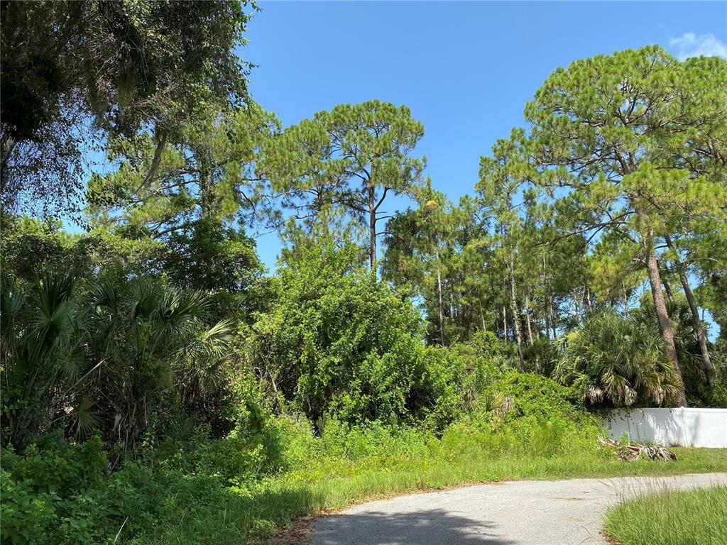 Property Photo:  Alpinia Road  FL 34288 