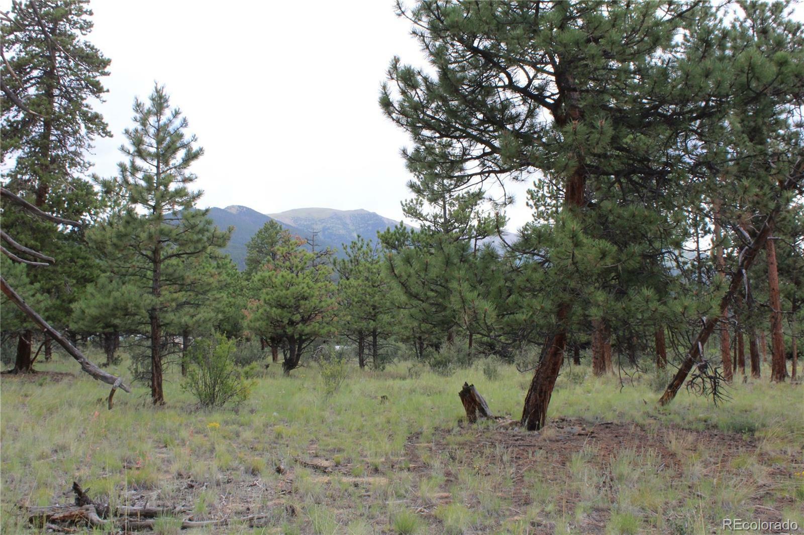 Property Photo:  30650 Timberline N  CO 81211 