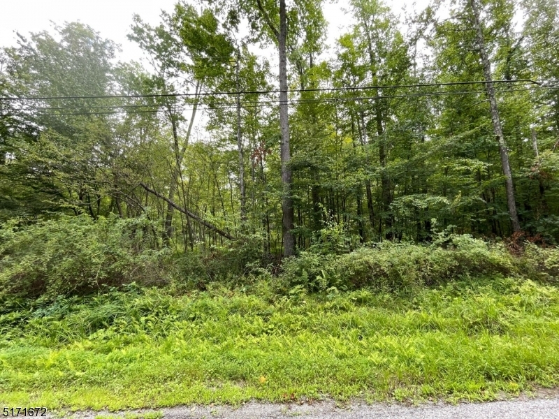 Property Photo: 11 Oak Ridge Rd NJ 07827