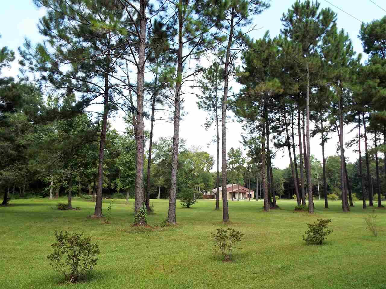 Property Photo: 785 Co Rd 725 TX 77612