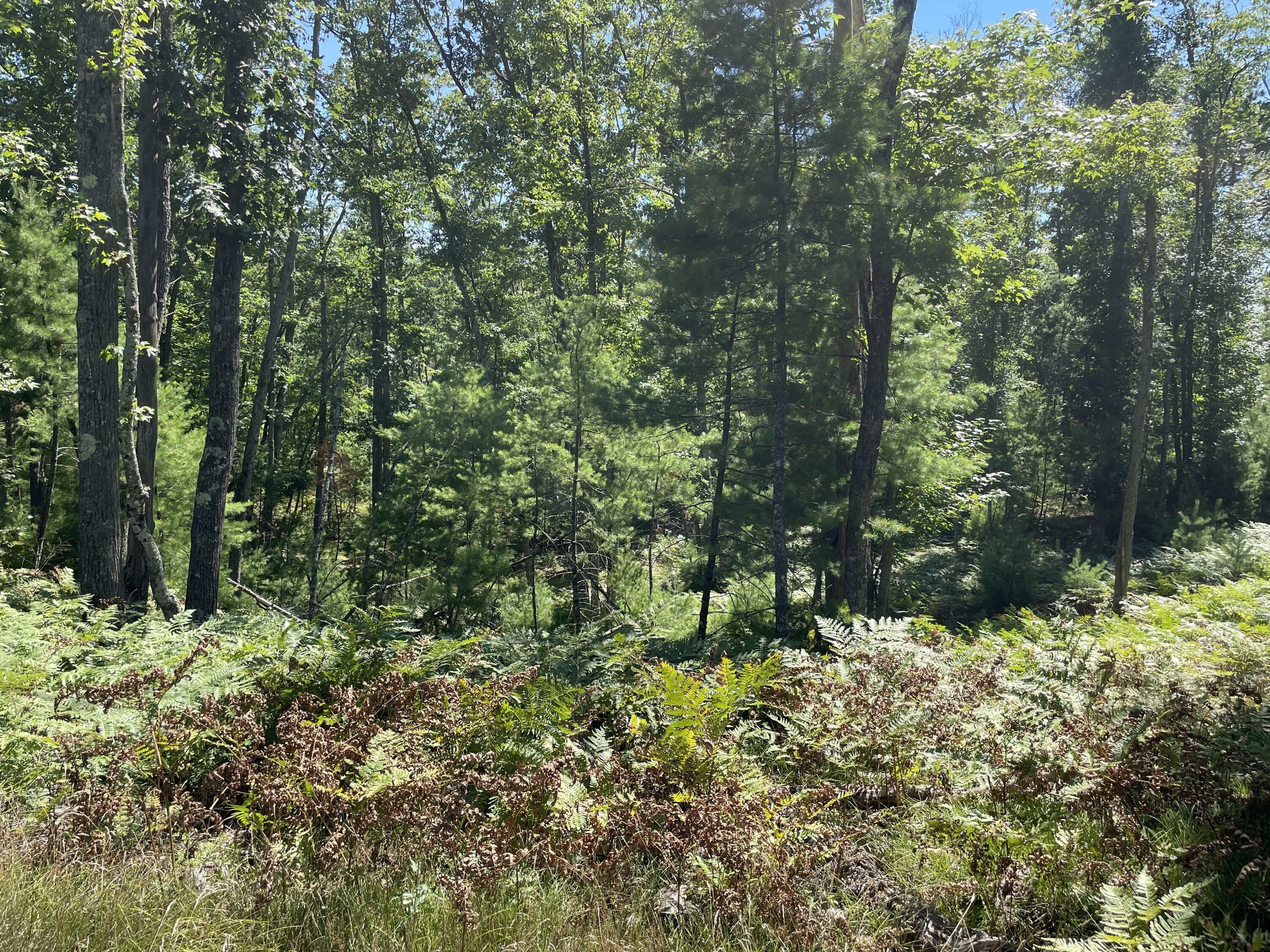 Property Photo:  Eldorado Lane  MI 48653 