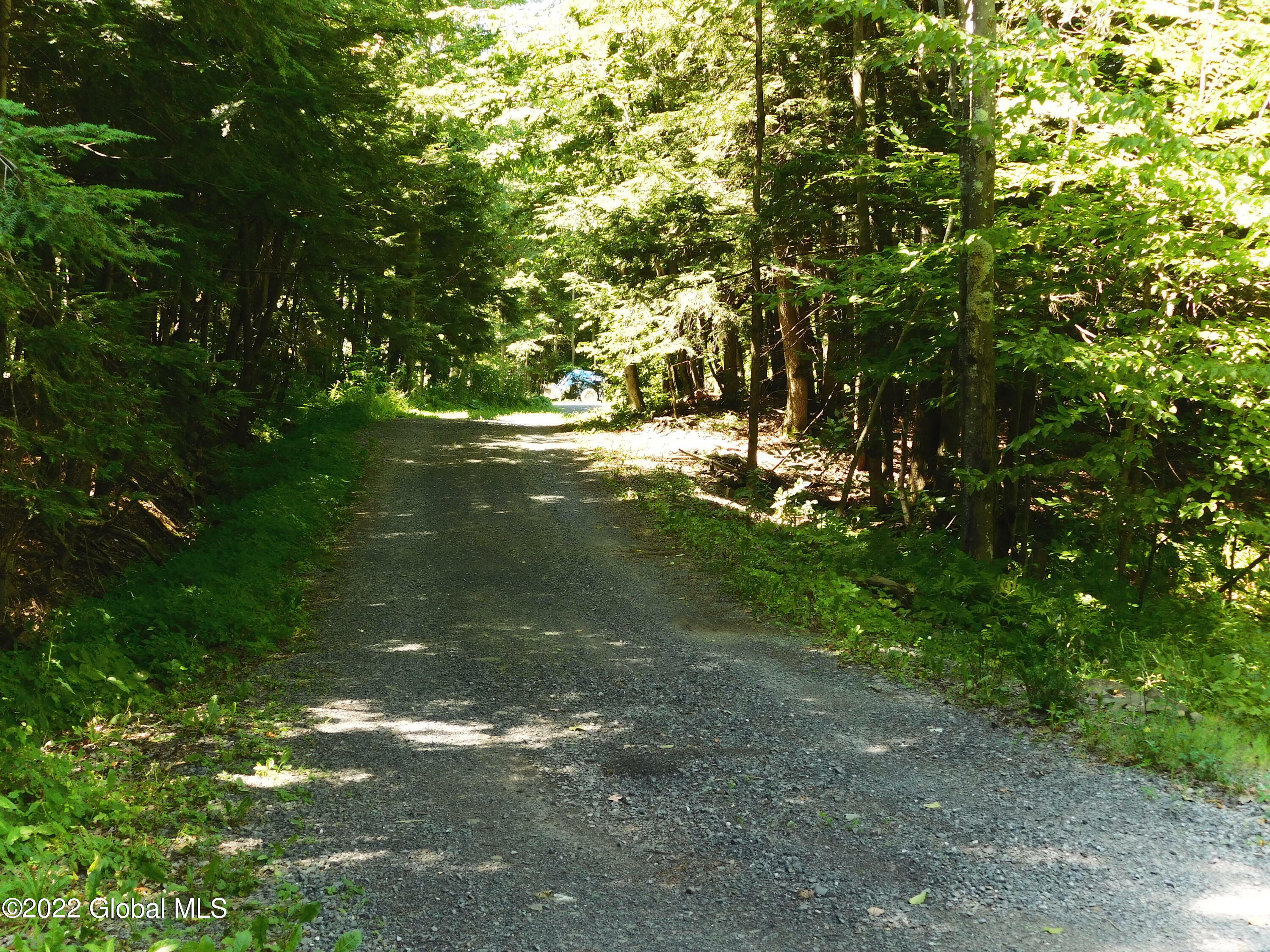 Property Photo:  8885 State Highway 30  NY 12053 