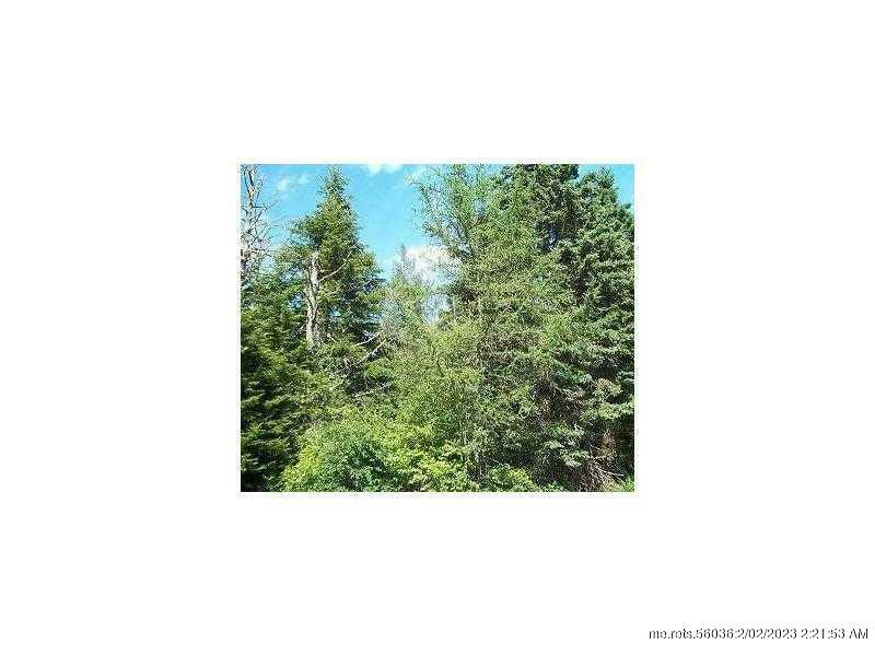 Property Photo:  Lot 29 Saco Road  ME 04623 