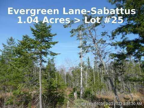 Property Photo: Lot 25 Evergreen Lane ME 04280