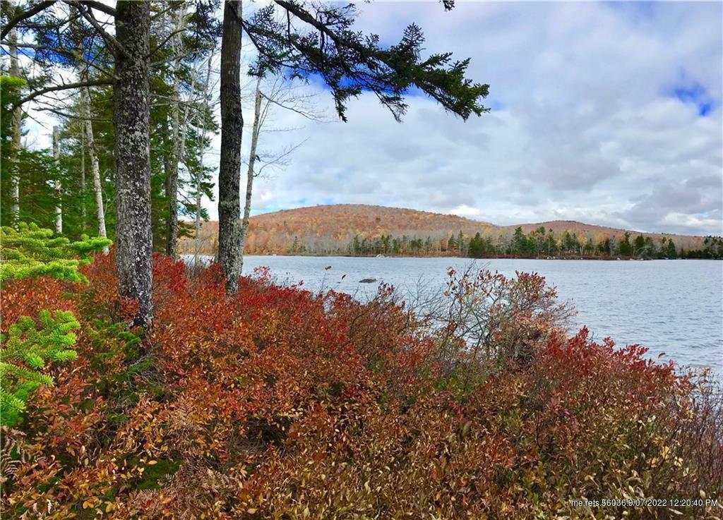 Property Photo:  0 Wedge Heights Lot 20  ME 04472 