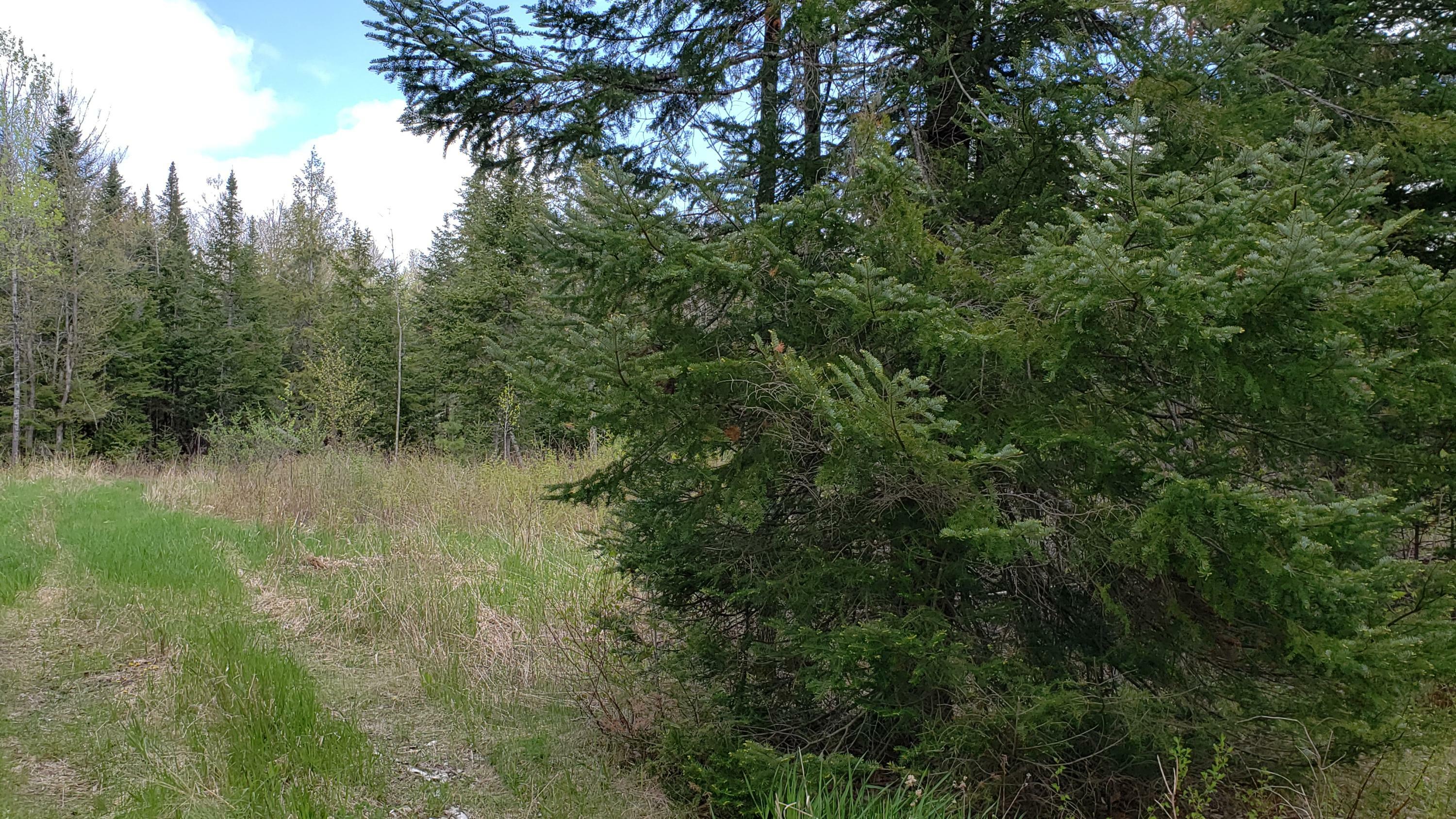 Property Photo:  25 McIntosh Avenue  ME 04456 