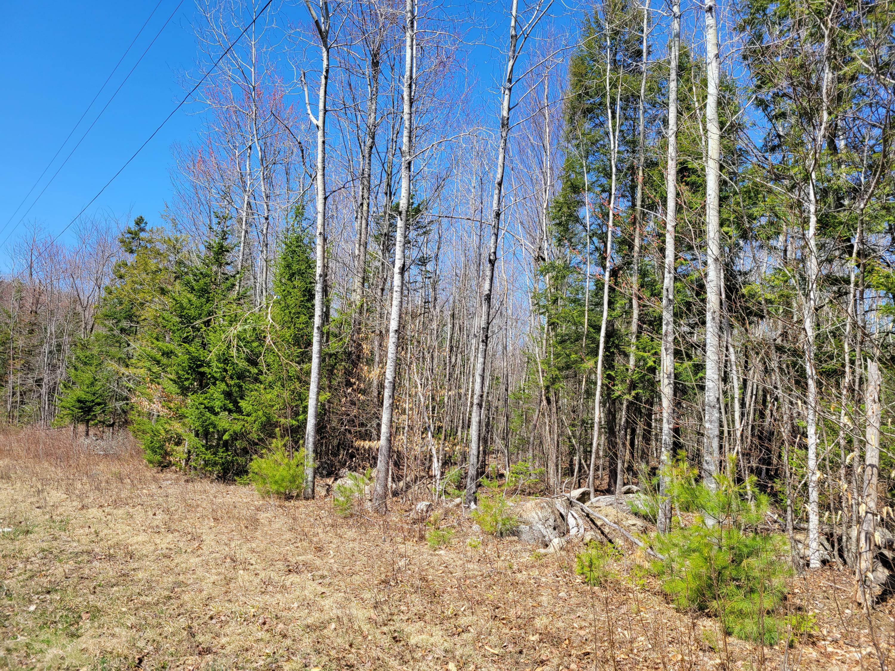 Property Photo:  Lot 6 Bear Mountain Way  ME 04915 