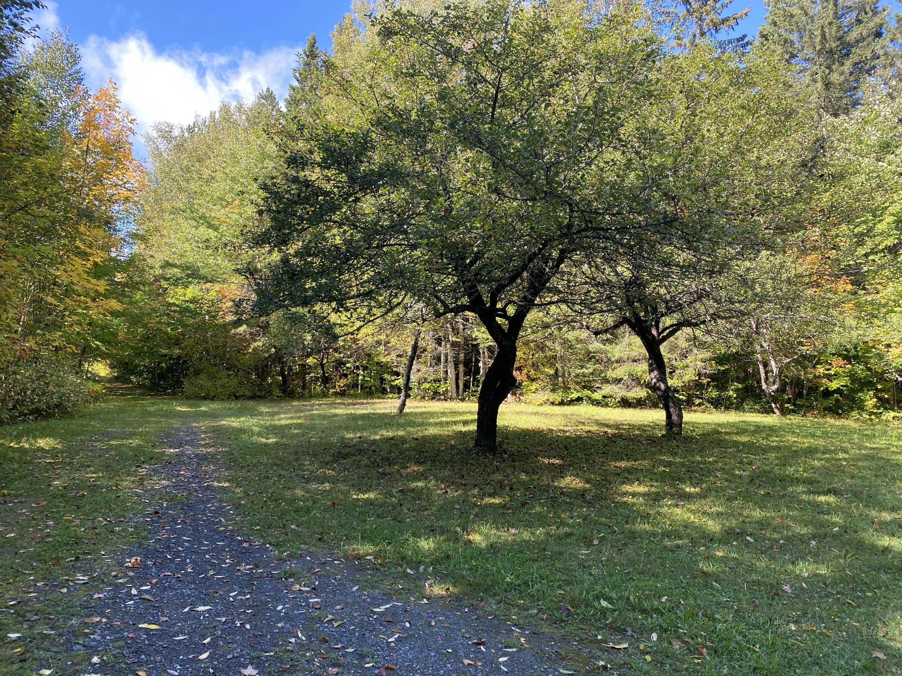 Property Photo:  6 Sugartree Road  ME 04773 