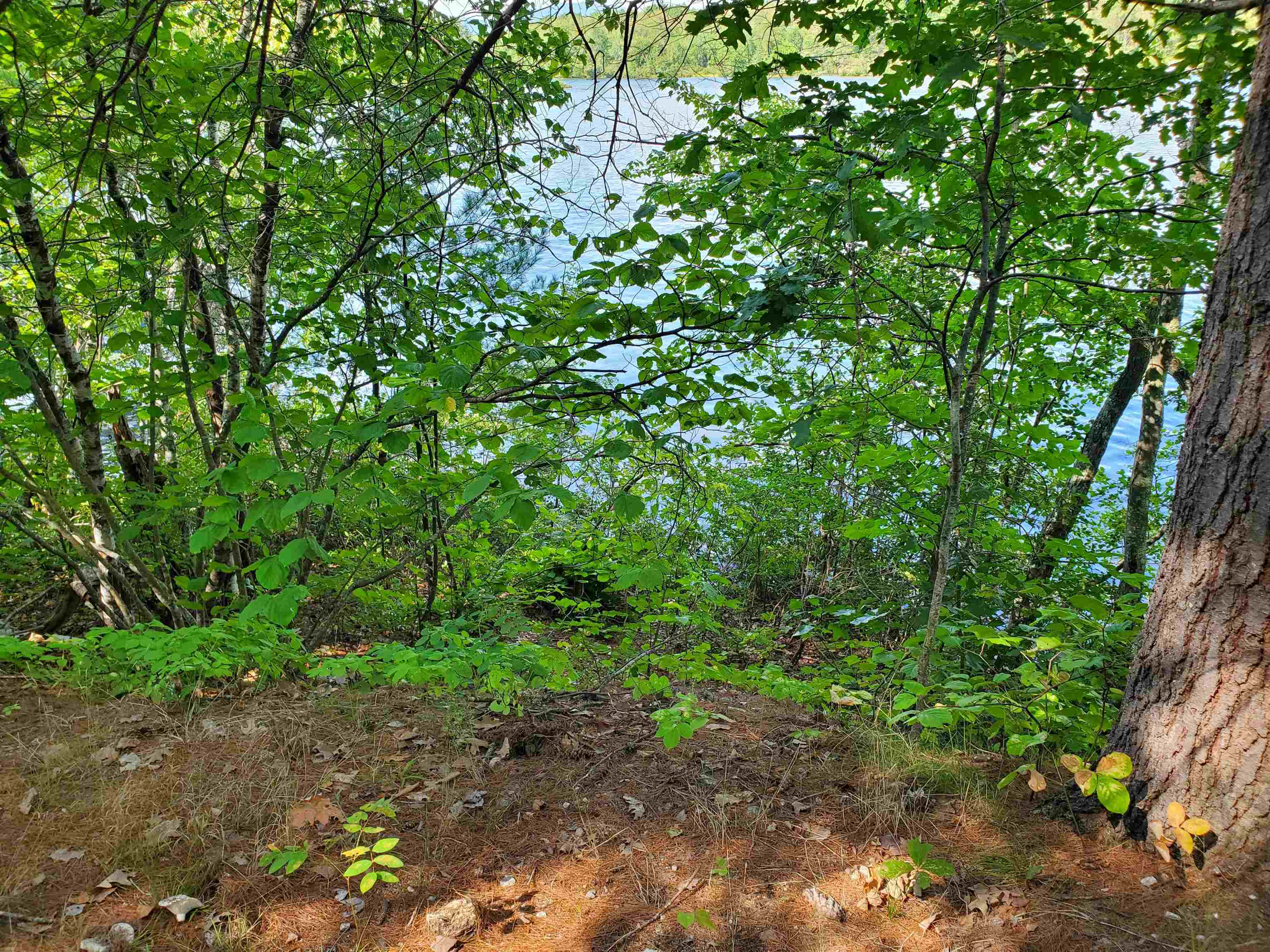 Property Photo:  48 Ridge Road  NH 03814 