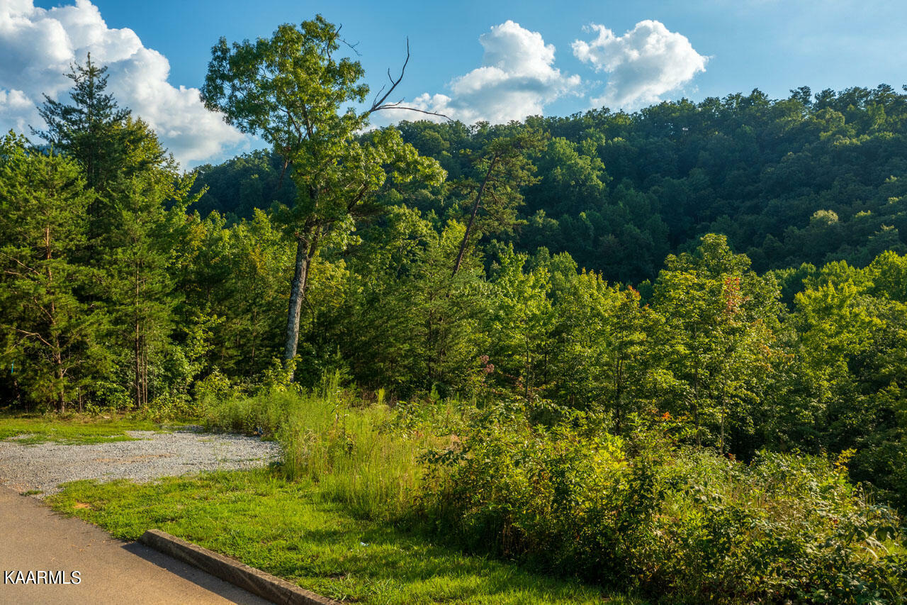 Property Photo: 1633 Pinestand Ridge Way TN 37862