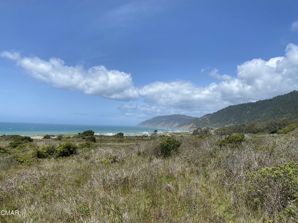 Property Photo:  25021 Seaview Drive  CA 95488 