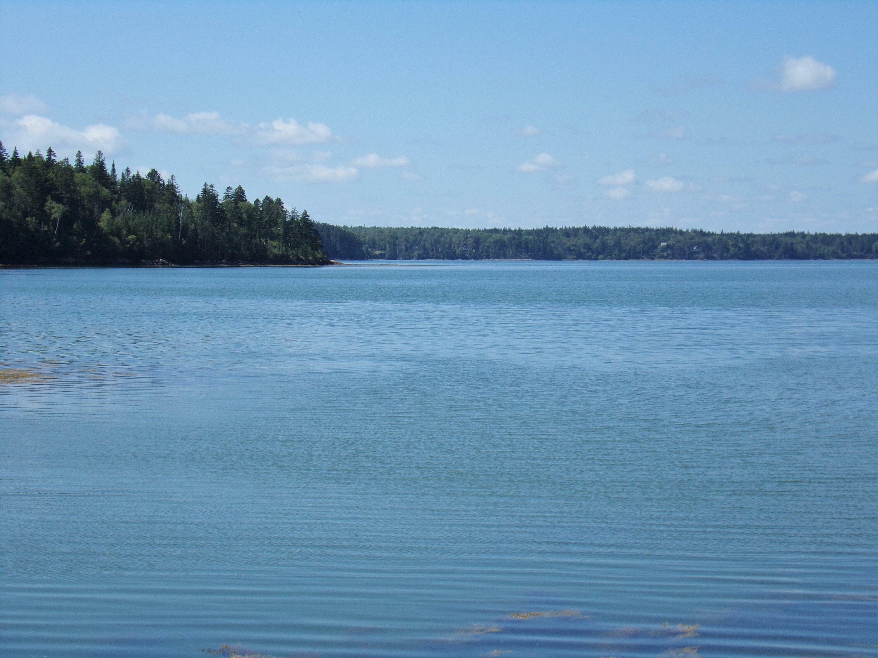 Property Photo:  Lot 14 Collins Cove Road  ME 04655 