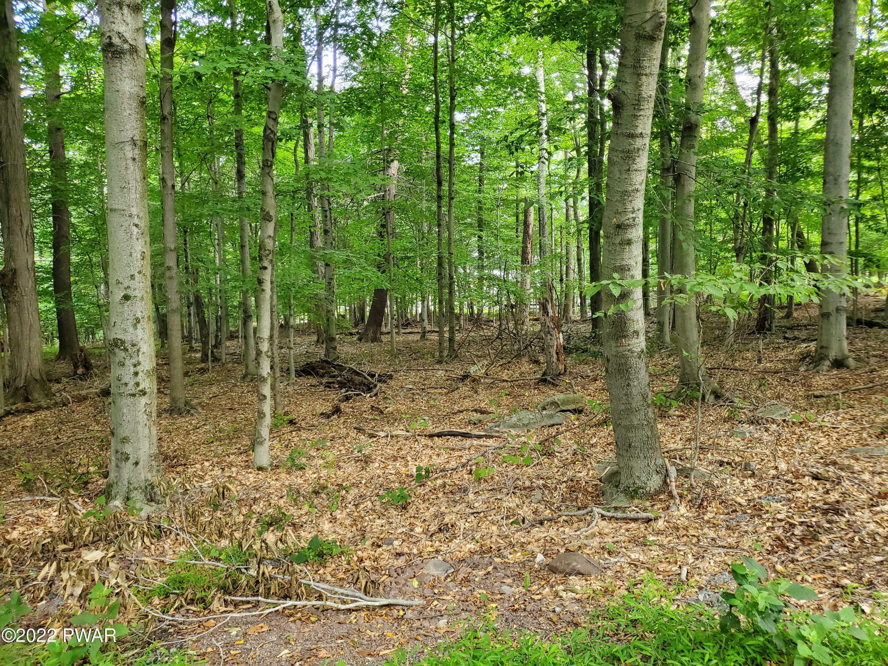 Property Photo:  Lot 686A Hickory Lane  PA 18426 