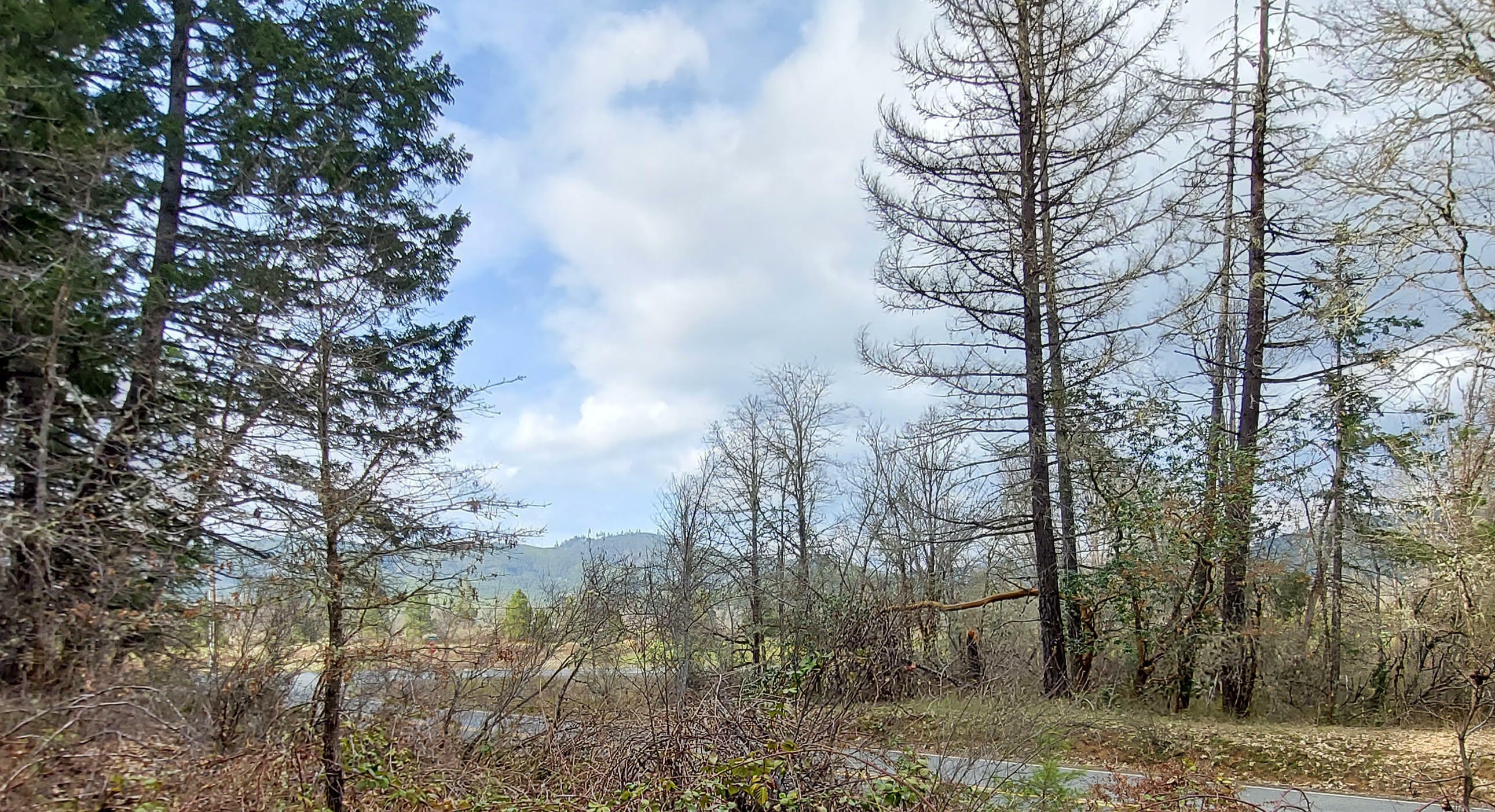 Property Photo:  Thompson Creek Road Lot #205  OR 97538 